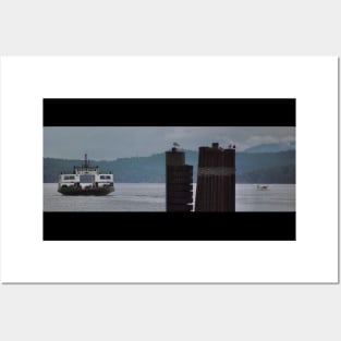 Ferry, Seagulls and Seaplane Scene, San Juan Islands, Pudget Sound, 1997 Posters and Art